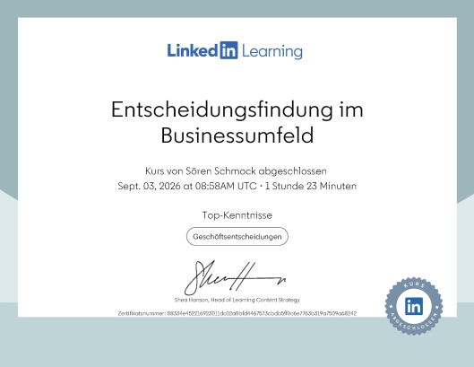 Entscheidungsfindung im Businessumfeld